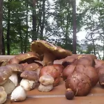 Letnisko Bajka Илава