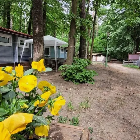 Lodge Letnisko Bajka *